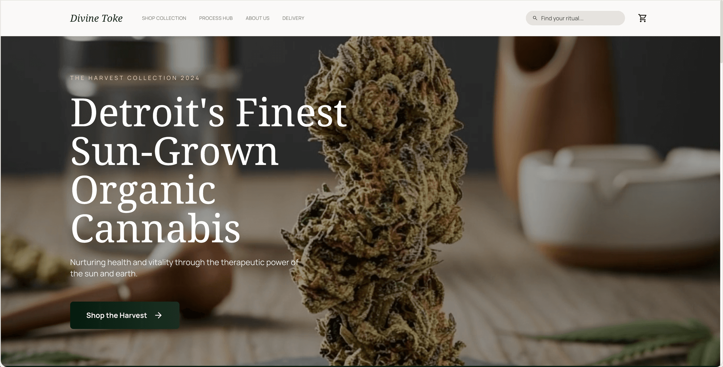 Divinetoke preview